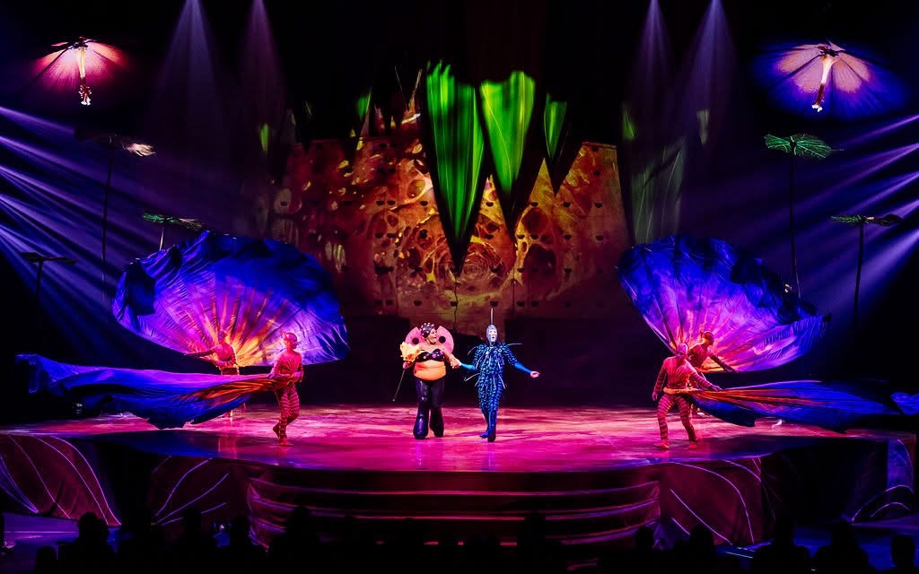 OvO - Cirque du Soleil